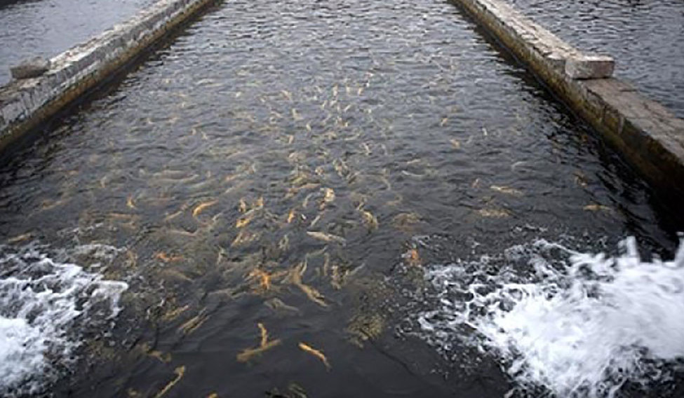 ԲԸՏՄ-ն ներկայացրել է 2023 թ. գործունեության արդյունքները ջրային ռեսուրսների օգտագործման ոլորտում