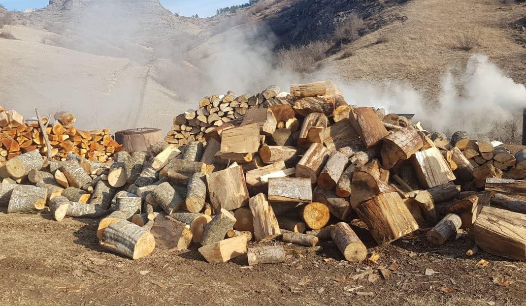 ՇՄՆ էկոպարեկային ծառայությունն անտառհատման հերթական ապօրինի դեպքն է բացահայտել