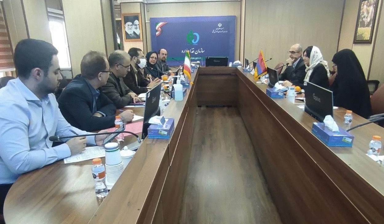 Լենա Նանուշյանը և Իրանի սննդամթերքի և դեղերի վարչության պետը քննարկել են առողջապահության ոլորտում համագործակցության ընդլայնմանն առնչվող հարցեր