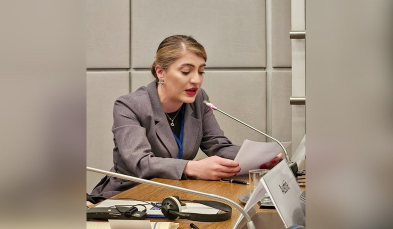 Lilit Minasyan delivers a speech at OSCE Winter Meeting