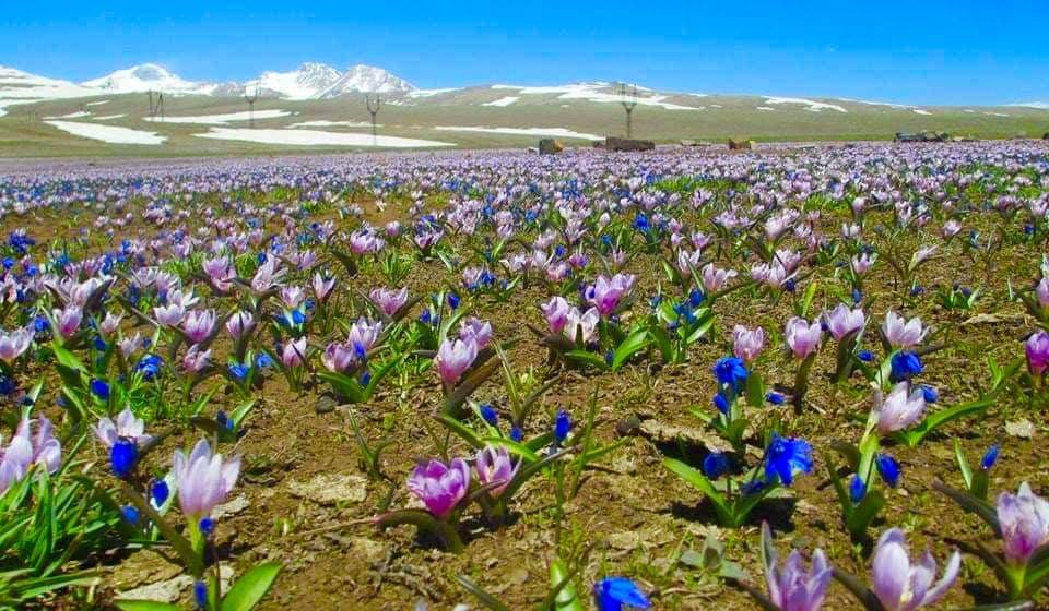 Օդի ջերմաստիճանը աստիճանաբար կբարձրանա 4-7 աստիճանով