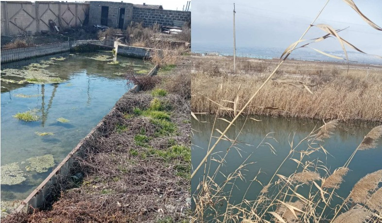 Կասեցվել է ձկնաբուծարանի ապօրինի ջրօգտագործումը