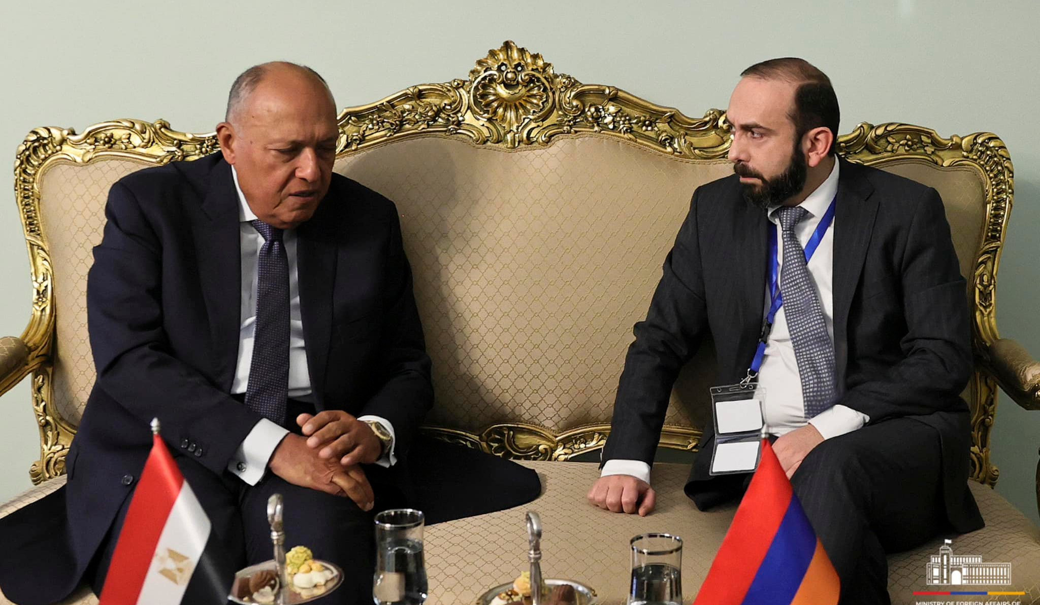 Мирзоян представил министру иностранных дел Египта последние дискуссии в процессе регулирования армяно-азербайджанских отношений