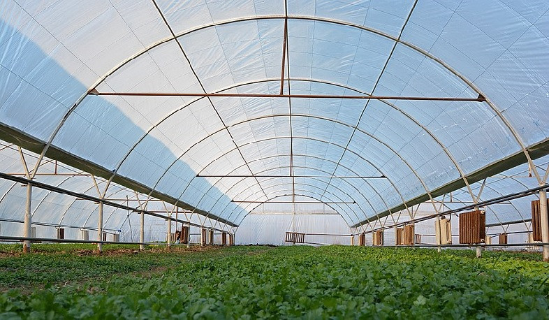 Արտոնություններ՝ ջերմոցները զարգացնելու վարկային գծերի համար