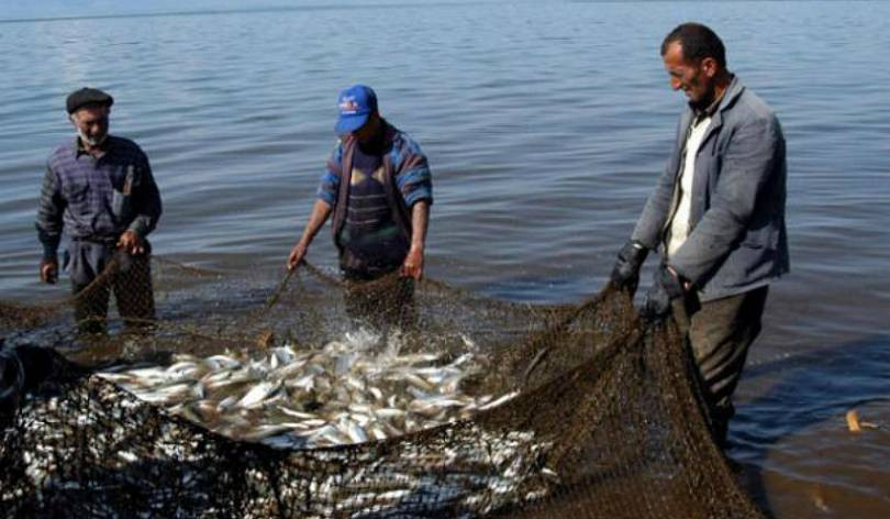 Սիգի ապօրինի որսի կամ արդյունահանման համար վնասի խոշոր չափ կհամարվի 150000 դրամը գերազանցող գումարը. նախագիծ