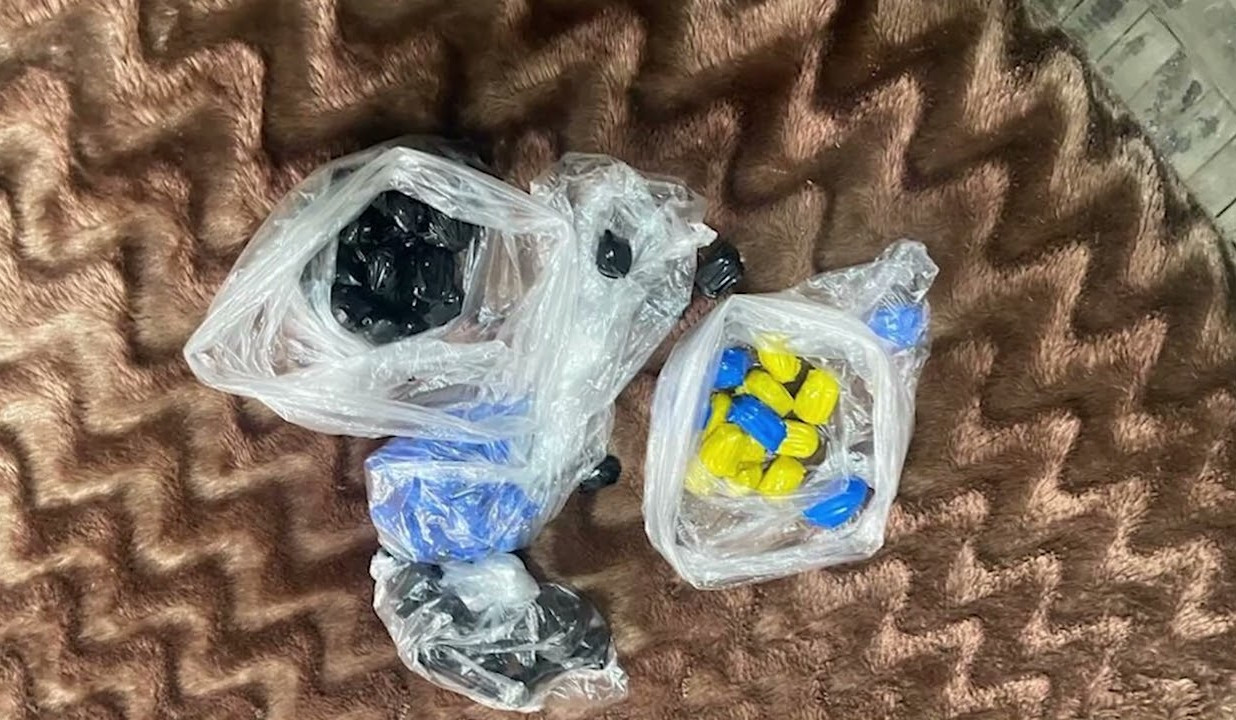 Կանեփի ջերմոց-լաբորատորիա, մեթամֆետամին ու մարիխուանա. Վաղարշապատի ոստիկանների բացահայտումը