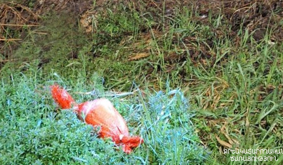 7 բջջային հեռախոս՝ ներնետված փաթեթում․ «Վանաձոր» քրեակատարողական հիմնարկում կանխվել է արգելված իրերի փոխանցման հերթական դեպքը