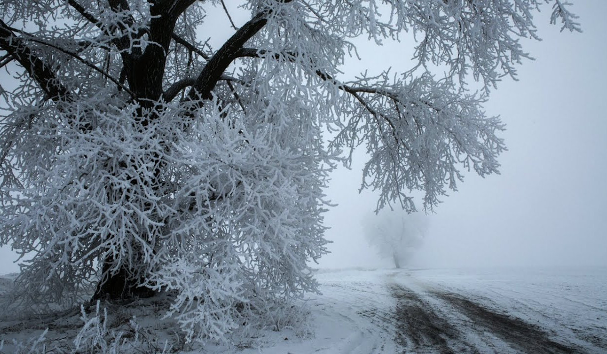 Վարդաղբյուր գյուղում բուք է