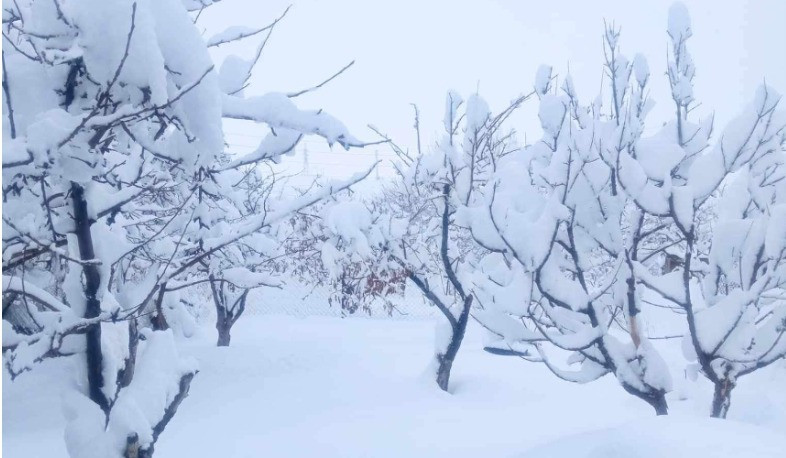 Ձյան ծածկի առավելագույն բարձրությունն Արագածի մերձգագաթային մասում 156 սմ է. 24 ժամում որոշ շրջաններում թափվել է ամսական նորմայի չափ տեղում