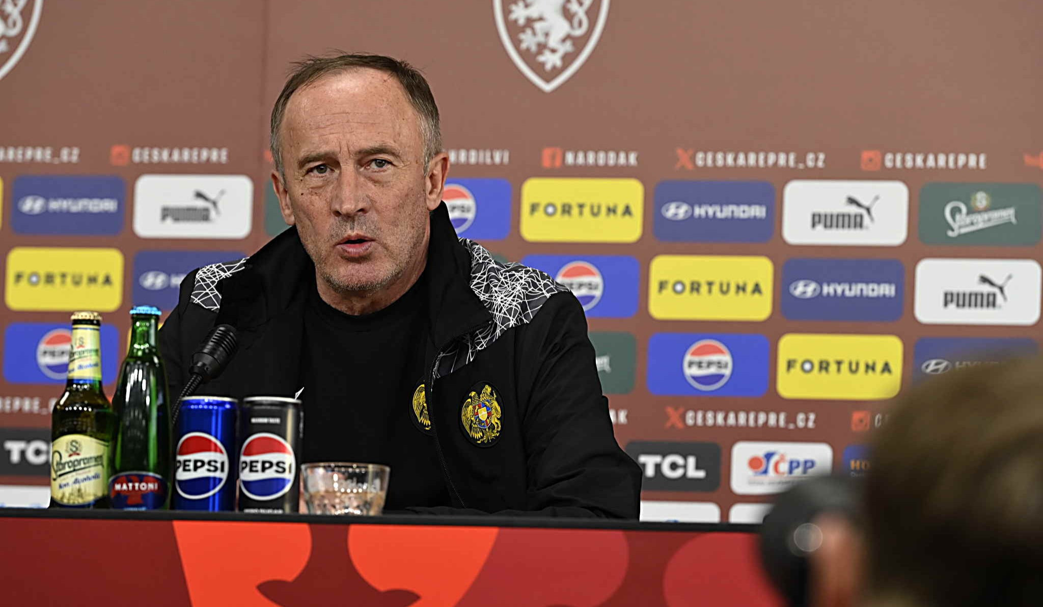 Տղաները վերականգնվել են և պատրաստ են Չեխիայի հետ խաղին. Ալեքսանդր Պետրակով