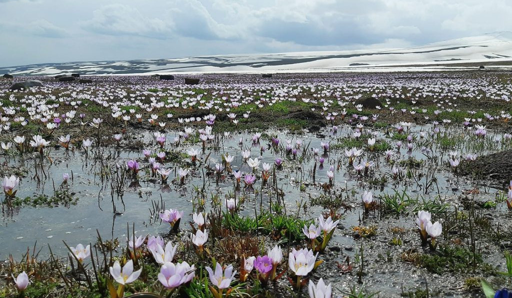 Օդի ջերմաստիճանն աստիճանաբար կբարձրանա 7-9 աստիճանով