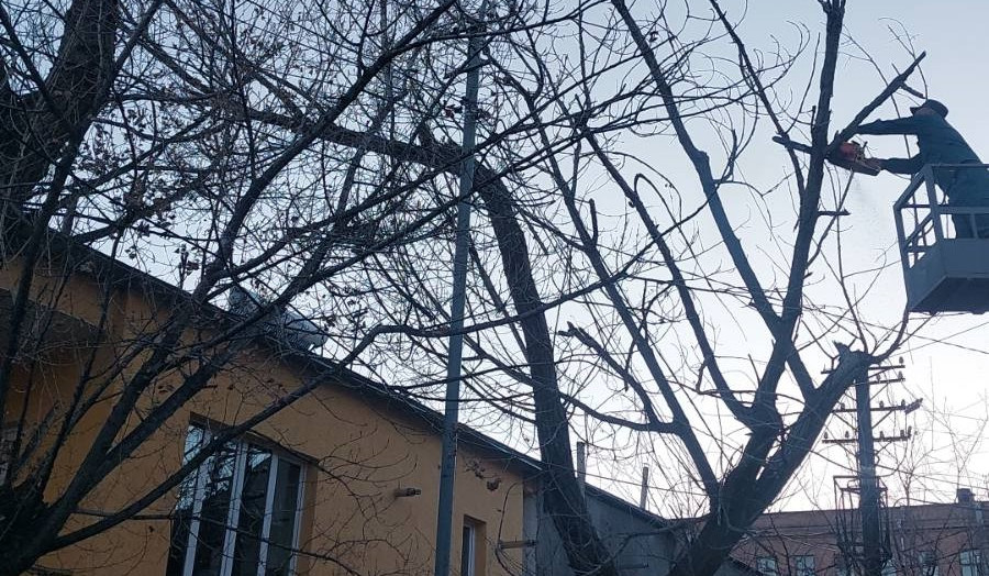 Ուժգին քամին վնասներ է հասցրել Երևանի Կենտրոն, Արաբկիր և Նոր Նորք վարչական շրջաններում