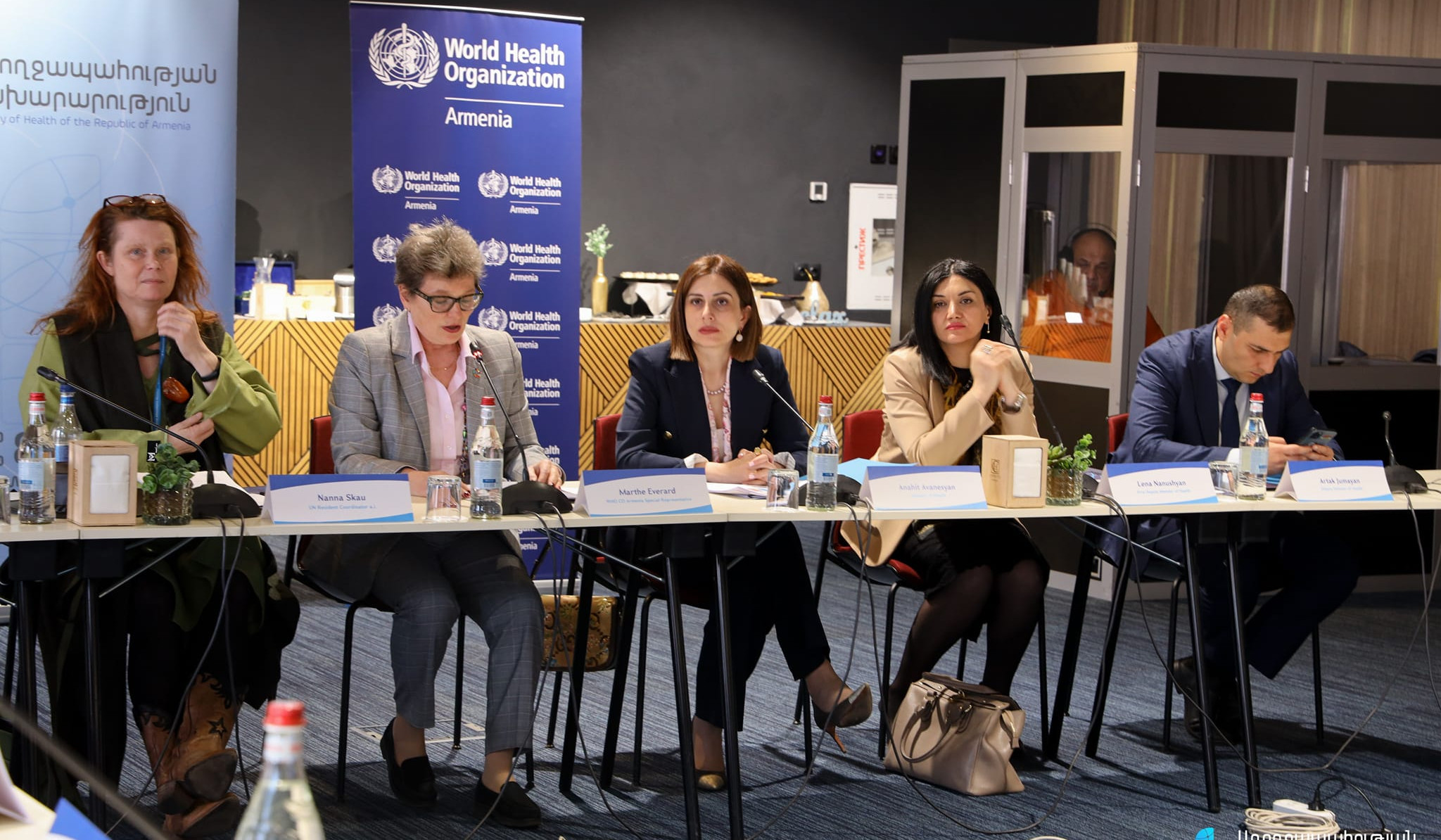 Միջազգային գործընկերներին ներկայացվել են առողջապահության համակարգի հիմնական մարտահրավերները. ՀՀ ԱՆ