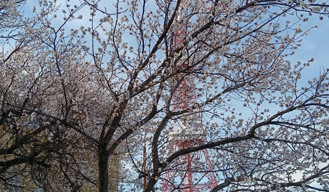 Օդի ջերմաստիճանը ապրիլի 6-9-ը կնվազի 8-10 աստիճանով