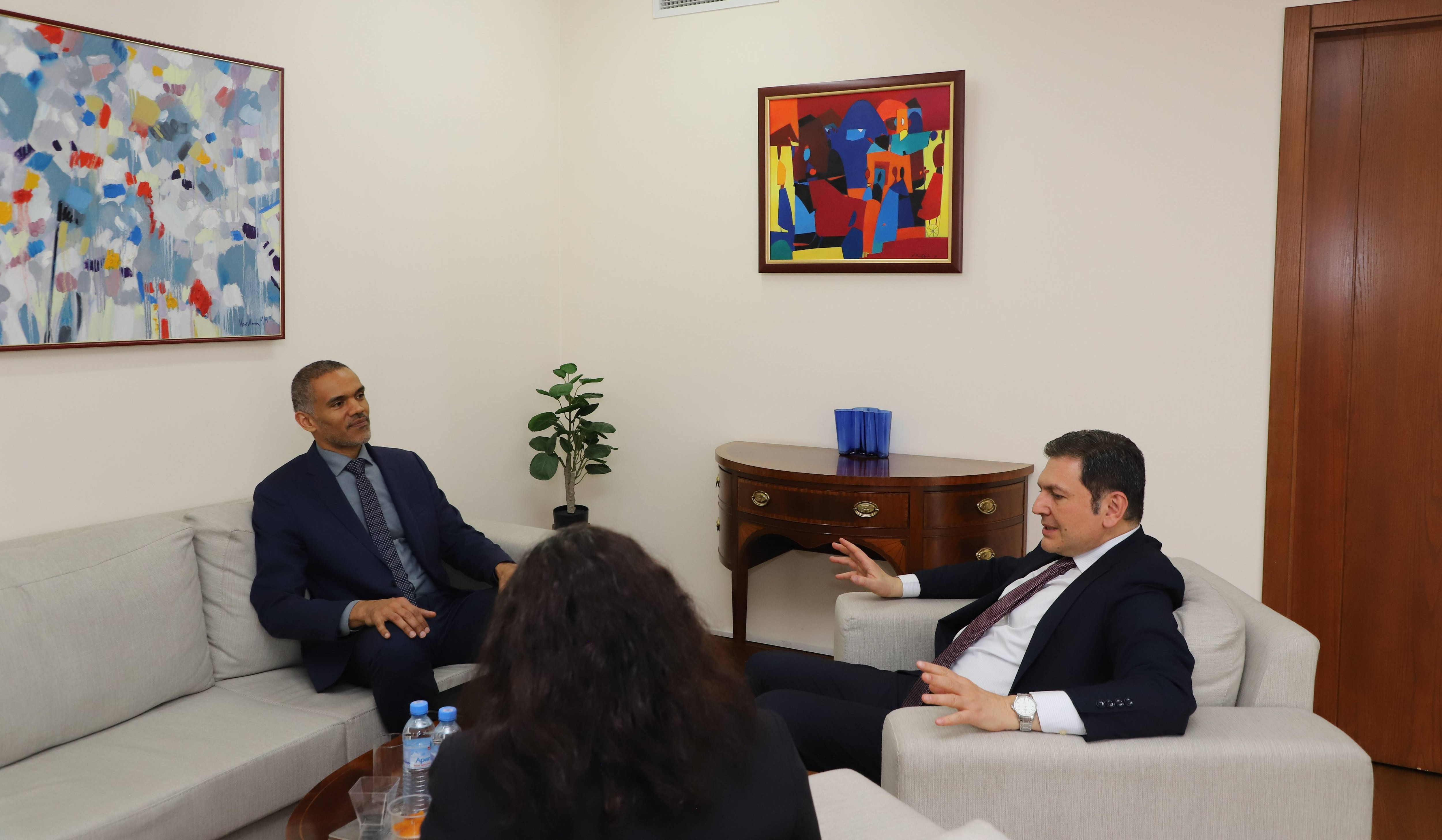 ԱԳ փոխնախարարը ՀՀ-ում Եվրոպայի խորհրդի գրասենյակի նորանշանակ ղեկավարին ներկայացրել է տարածաշրջանային վերջին զարգացումները