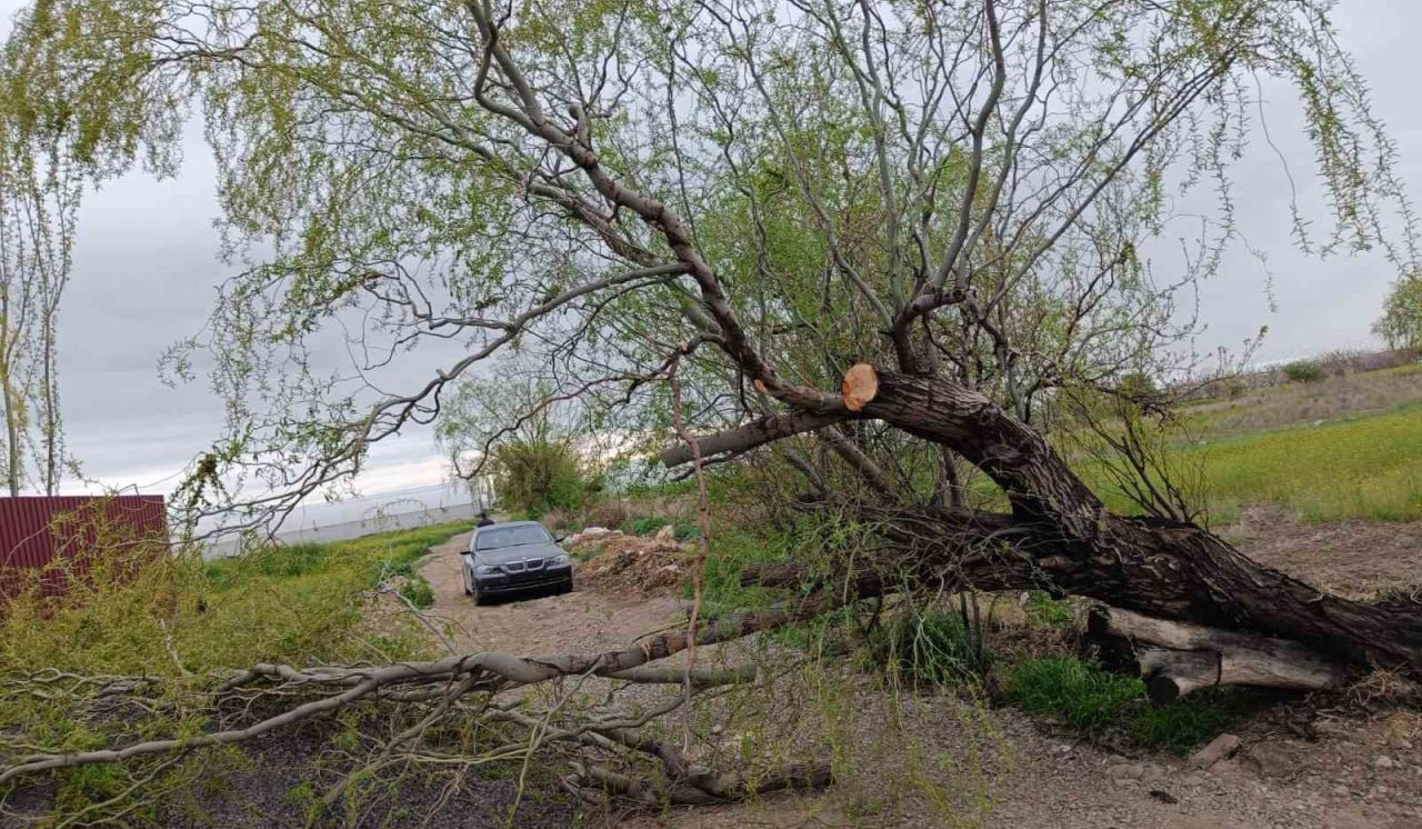 Փրկարարները ծառը հեռացրել են ճանապարհի երթևեկելի հատվածից