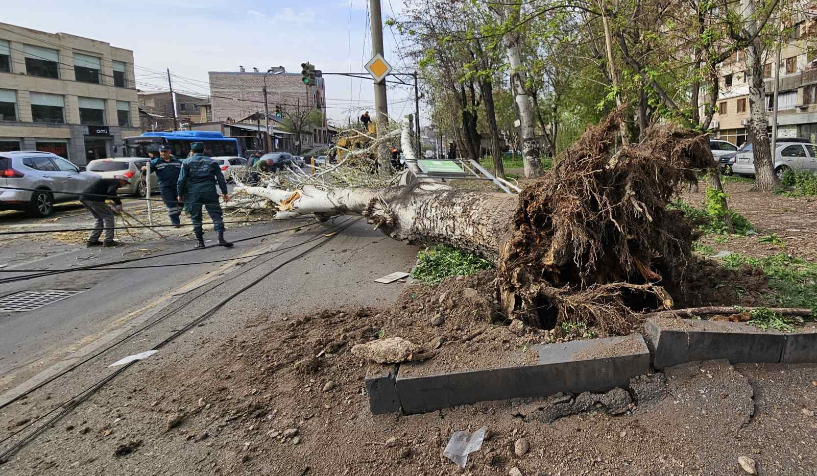 Խորենացու փողոցում բարդին կոտրվել է և մի մասով ընկել էլեկտրական լարերի վրա