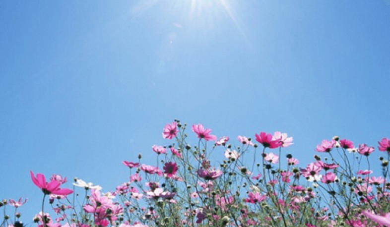 Օդի ջերմաստիճանն ապրիլի 12-13-ի ցերեկը կբարձրանա 5-7, 14-ի ցերեկը կնվազի 4-5 աստիճանով