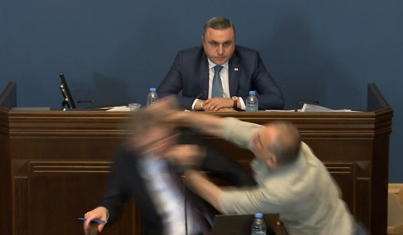 A fight broke out in the Parliament of Georgia
