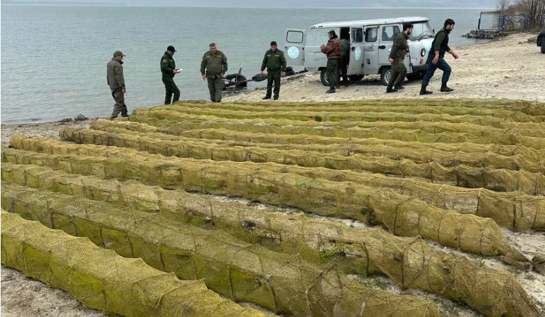 Չկալովկա բնակավայրին հարող ափամերձ հատվածում լճից դուրս է բերվել ապօրինի տեղադրված 184 հատ խեցգետնորսիչ