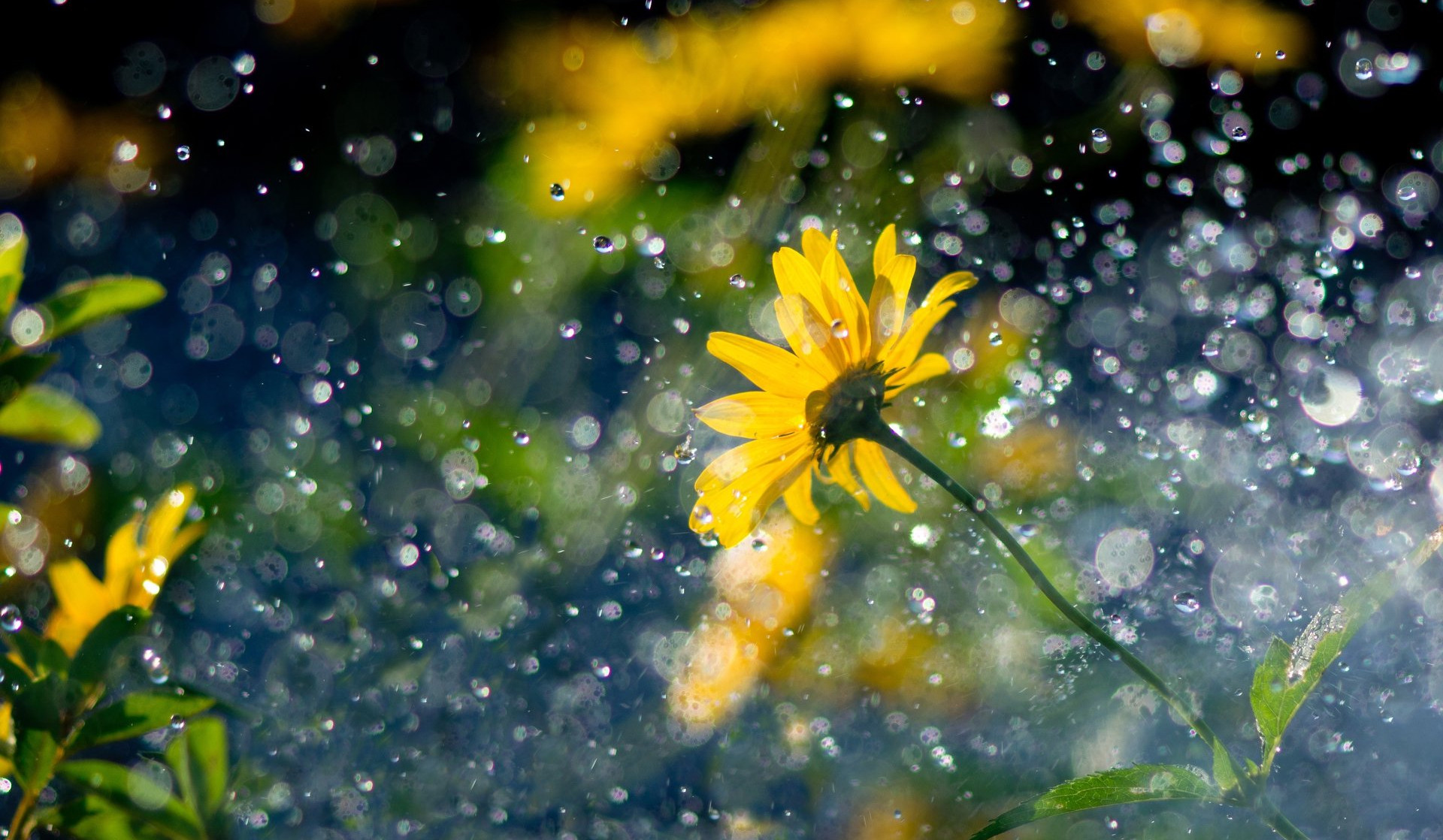 Ջերմաստիճանը կբարձրանա 4-6 աստիճանով, որոշ շրջաններում սպասվում են կարճատև անձրև և ամպրոպ