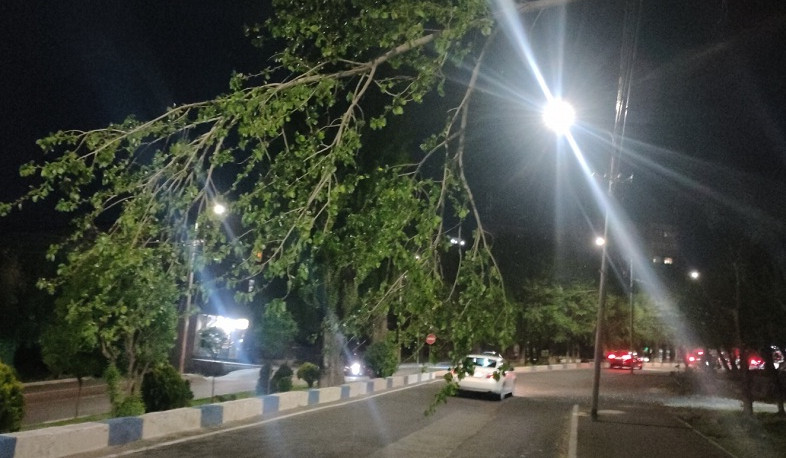 Փրկարարները կտրել և հեռացրել են Շինարարների փողոցում դեպի ճանապարհի երթևեկելի գոտի կախված ծառը