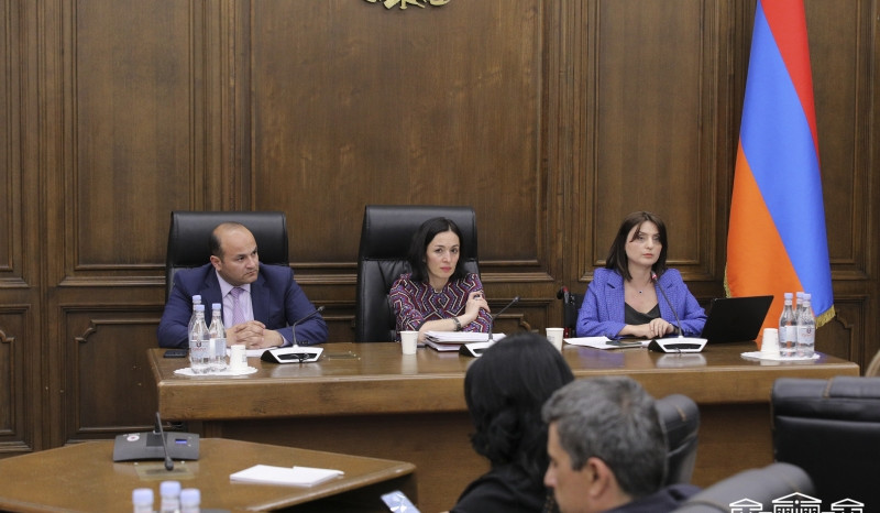 ԿԳՄՍ նախարարն ԱԺ-ում անդրադարձել է ուսհաստատություններում մատչելիության և խելամիտ հարմարեցումների ապահովման միասնական մեխանիզմների ներդրմանը