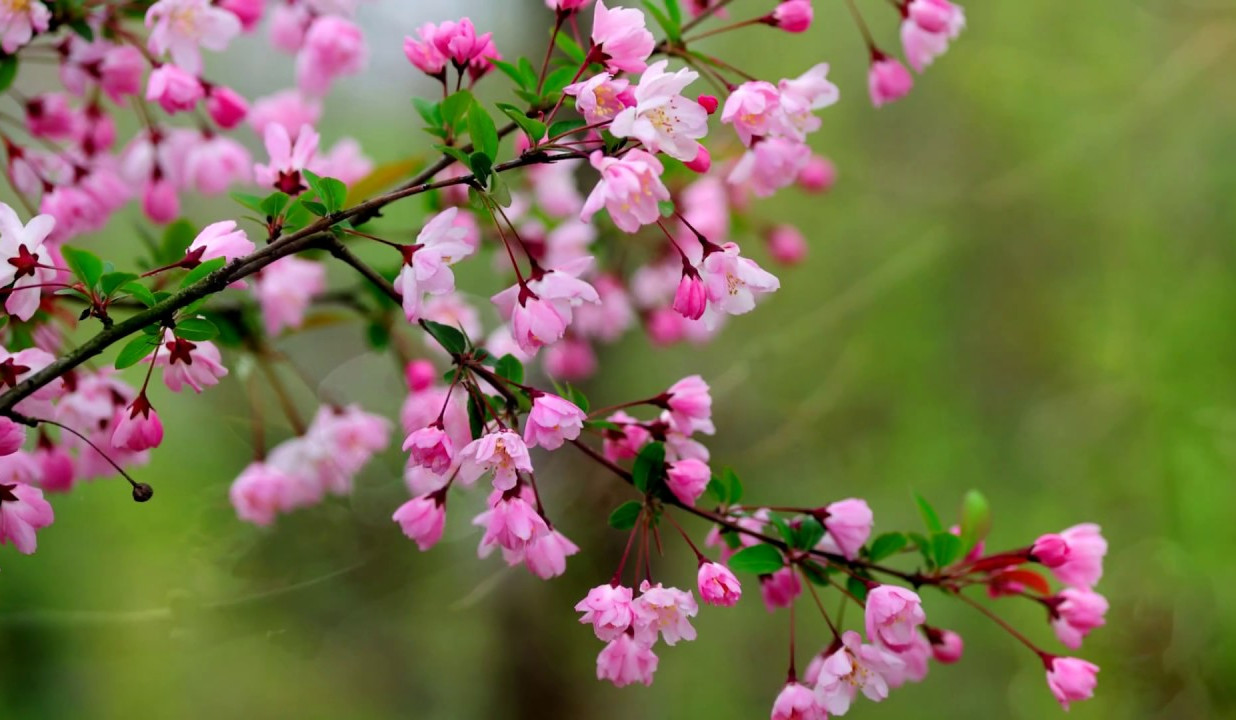 Ջերմաստիճանն առաջիկա օրերին կբարձրանա 3-5 աստիճանով