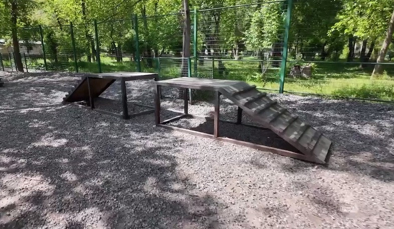 Հատուկ զբոսայգիներ՝ շների համար