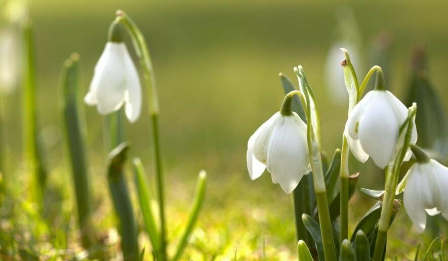 Օդի ջերմաստիճանն աստիճանաբար կբարձրանա ևս 2-4 աստիճանով