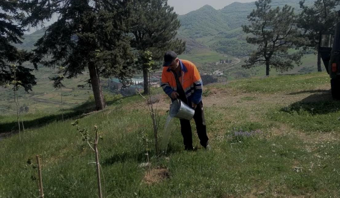 Ծառատունկ՝ ՇՄ նախարարության ենթակա ՊՈԱԿ-ների տարածքներում