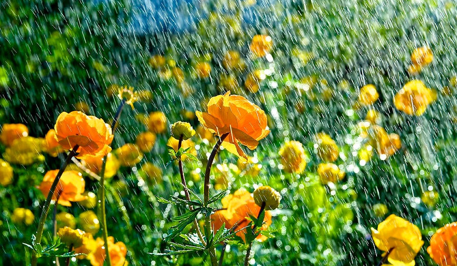 Մայիսի 3-7-ը շրջանների զգալի մասում սպասվում է անձրև և ամպրոպ