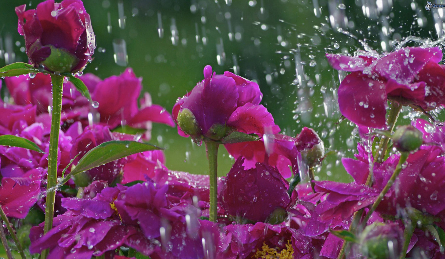 Հանրապետությունում օդի ջերմաստիճանն էապես չի փոխվի