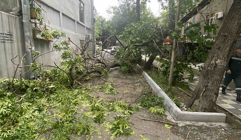 Երևանում քամու հետևանքով շինությունների տանիքների ծածկեր են վնասվել, ծառեր կոտրվել