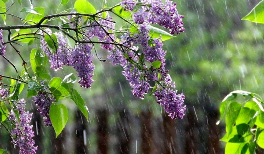 Օդի ջերմաստիճանը մայիսի 13-14-ի ցերեկն աստիճանաբար կնվազի 4-6 աստիճանով