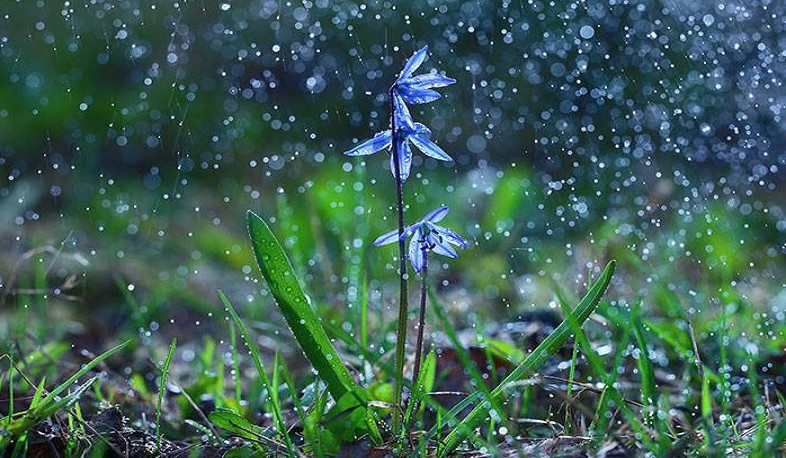 Առաջիկա օրերին ժամանակ առ ժամանակ սպասվում են անձրև և ամպրոպ. ջերմաստիճանը կնվազի