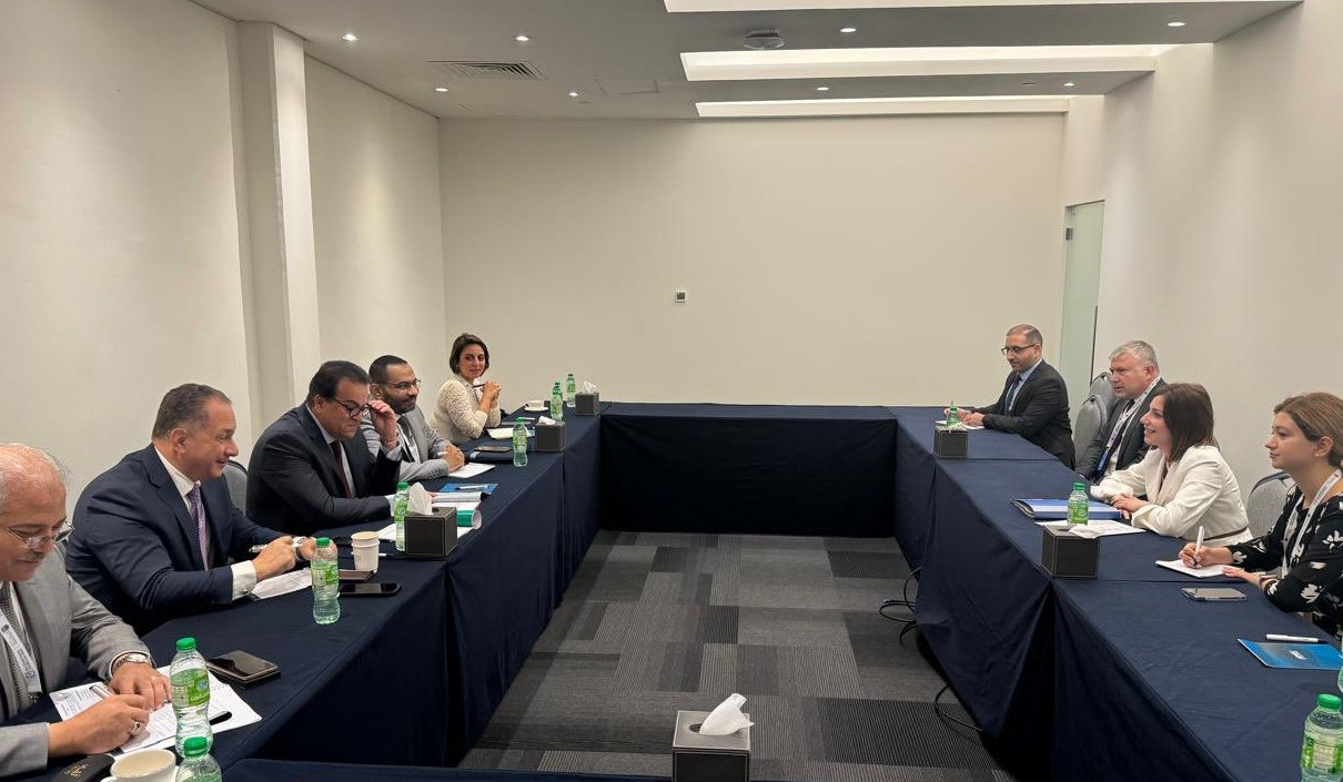 Անահիտ Ավանեսյանը Եգիպտոսի առողջապահության նախարարի հետ քննարկել է դեղագործության ոլորտում համագործակցության հնարավորությունները