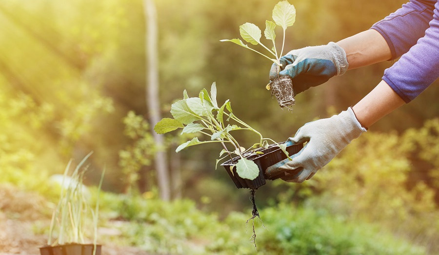 Կբարելավվեն գյուղատնտեսական վարկերի սուբսիդավորման ծրագրի պայմանները
