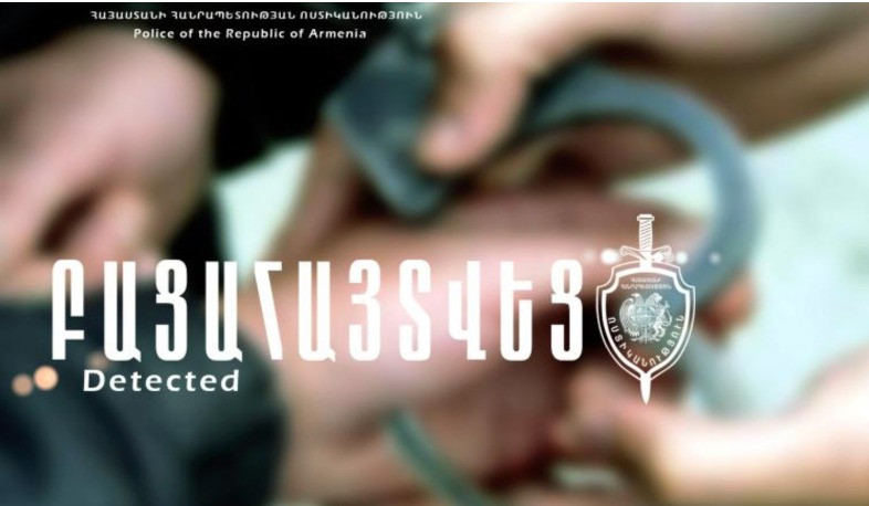 12 գողություն, 7 ձերբակալված. Դիլիջանի ոստիկանների բացահայտումը