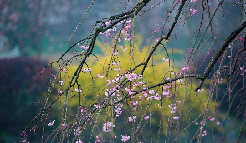 Հանրապետության առանձին շրջաններում սպասվում է անձրև և ամպրոպ, օդի ջերմաստիճանը կնվազի