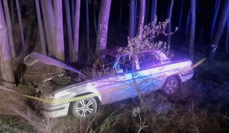 Վարդենիս-Մարտունի ճանապարհին մեքենան դուրս է եկել երթևեկելի հատվածից և հայտնվել անտառում․ կա տուժած