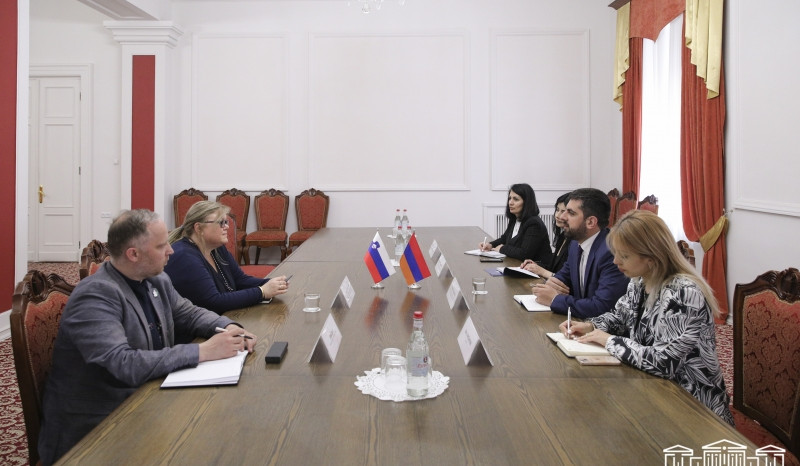 Սարգիս Խանդանյանը ՀՀ-ում Սլովենիայի դեսպանի հետ հանդիպմանն անդրադարձել է տարածաշրջանում անվտանգային իրավիճակին