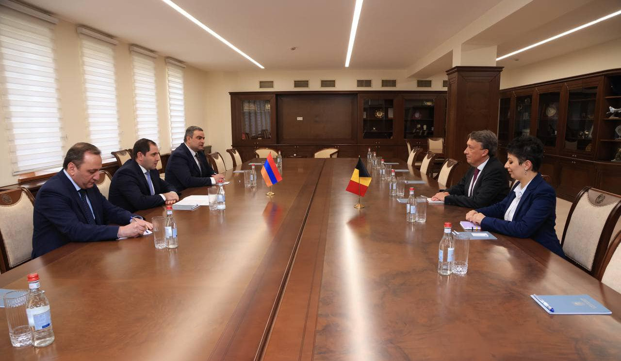 MN rəhbəri və Belçika səfiri ER Silahlı Qüvvələrinin islahatları və regional təhlükəsizliklə bağlı məsələləri müzakirə ediblər