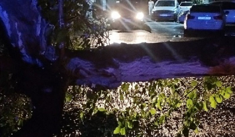 Ծառը կոտրվել և ընկել է ավտոճանապարհին՝ այն դարձնելով երկկողմանի փակ