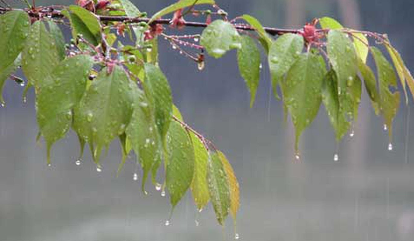 Հանրապետությունում ժամանակ առ ժամանակ սպասվում է անձրև և ամպրոպ