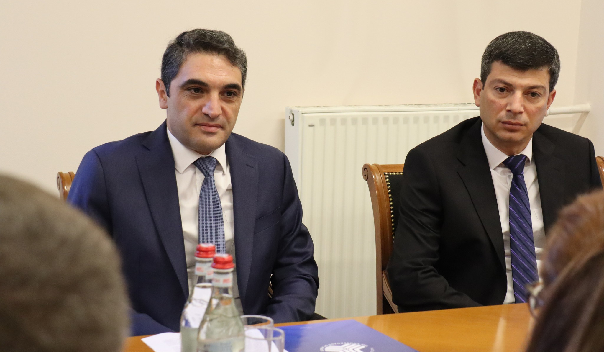 ՇՄ նախարարն ու Ֆինլանդիայի հյուպատոսն անդրադարձել են անտառտնկման և անտառվերականգնման խնդրին