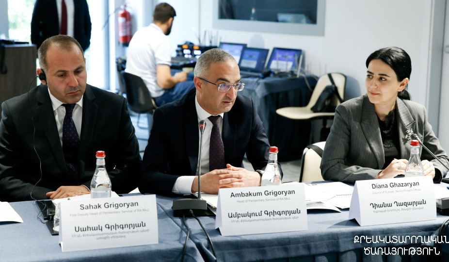 ԱՆ քրեակատարողական ծառայության պետը մասնակցել է ԵԽ ծրագրերի Համակարգող խորհրդի նիստին