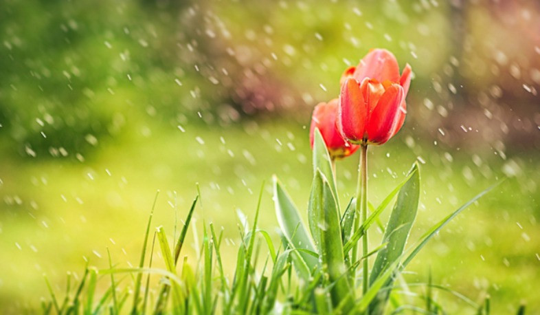 Հանրապետությունում օդի ջերմաստիճանն էապես չի փոխվի