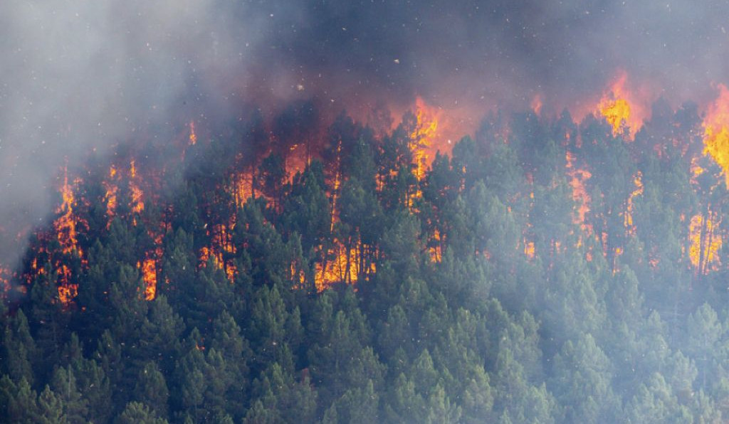 ԲԸՏՄ-ն հորդորում է խուսափել հրդեհավտանգ իրավիճակներից