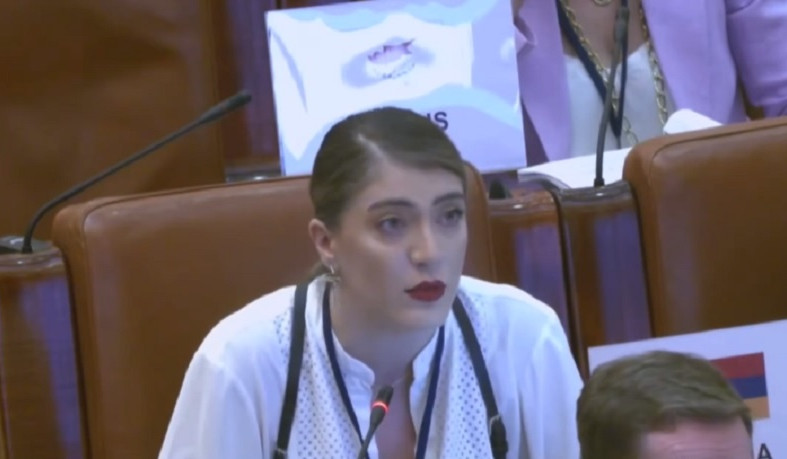 We expect your continued involvement in regulation of Armenia-Azerbaijan relations: Lili Minasyan's speech at session of OSCE PA Commission